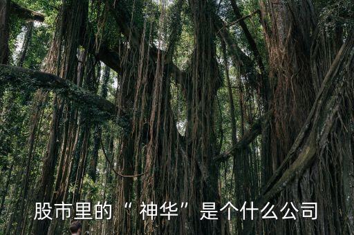 股市里的“ 神華”是個(gè)什么公司