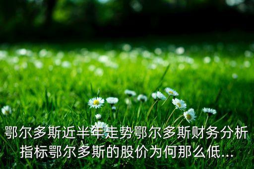 鄂爾多斯近半年走勢鄂爾多斯財(cái)務(wù)分析指標(biāo)鄂爾多斯的股價(jià)為何那么低...