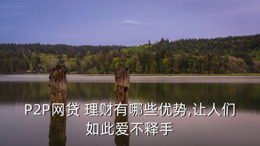 p2p高收益網(wǎng)絡(luò)投資理財,阿里巴巴p2p投資理財