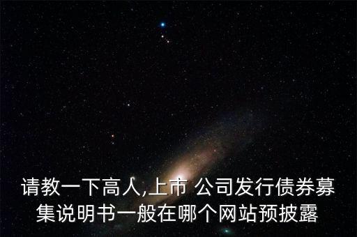 請教一下高人,上市 公司發(fā)行債券募集說明書一般在哪個網站預披露
