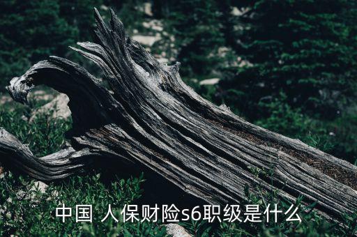 中國 人保財險s6職級是什么
