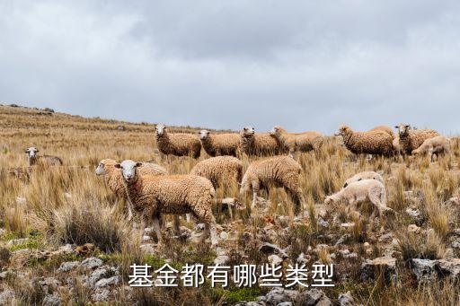  基金都有哪些類(lèi)型
