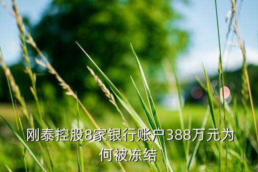  剛泰控股8家銀行賬戶388萬(wàn)元為何被凍結(jié)