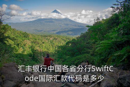  匯豐銀行中國各省分行SwiftCode國際匯款代碼是多少