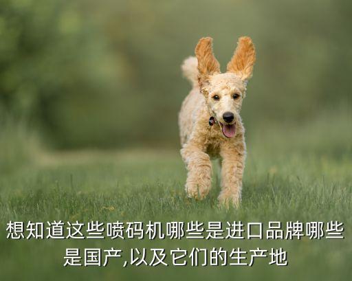 想知道這些噴碼機哪些是進口品牌哪些是國產,以及它們的生產地