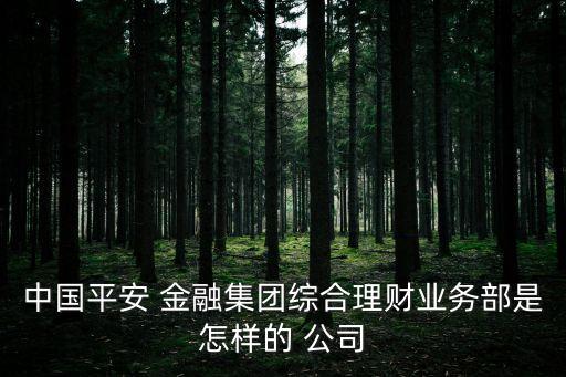 中國平安 金融集團綜合理財業(yè)務部是怎樣的 公司