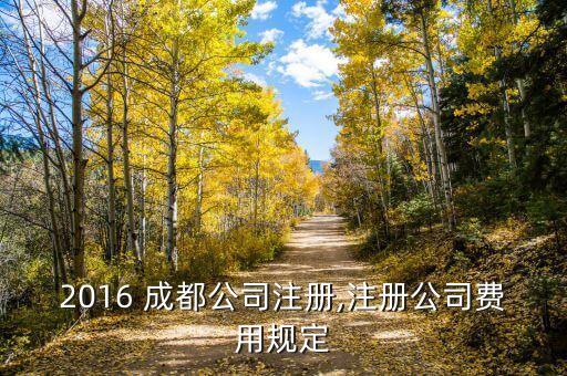 2016 成都公司注冊,注冊公司費用規(guī)定