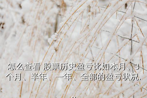 怎么查看 股票歷史盈虧比如本月、3個(gè)月、半年、一年、全部的盈虧狀況...