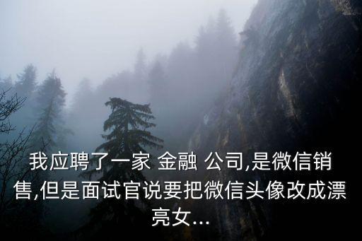 知乎金融公司,互聯(lián)網(wǎng)金融公司是干什么的