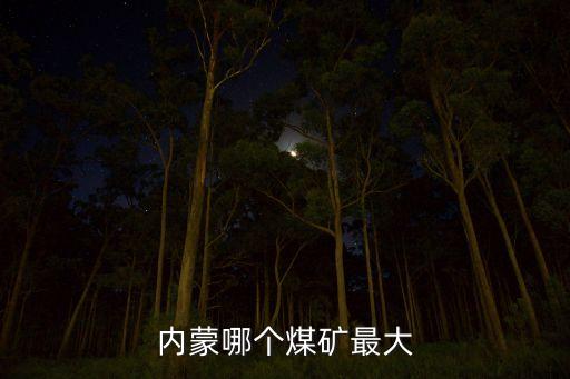 內蒙哪個煤礦最大