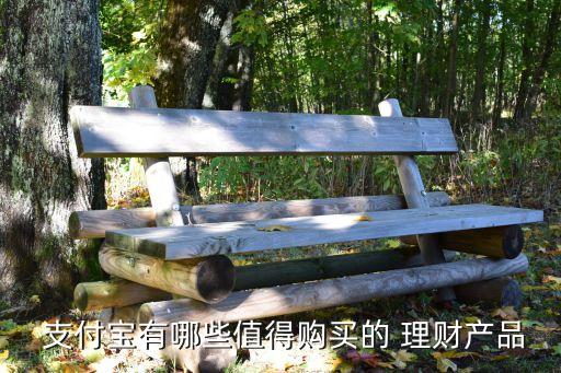  支付寶有哪些值得購買的 理財產(chǎn)品
