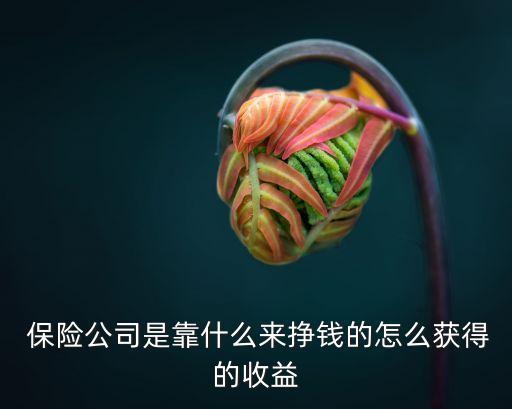 保險公司是靠什么來掙錢的怎么獲得的收益