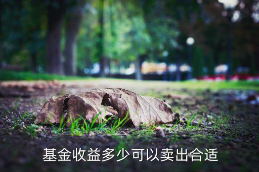  基金收益多少可以賣(mài)出合適
