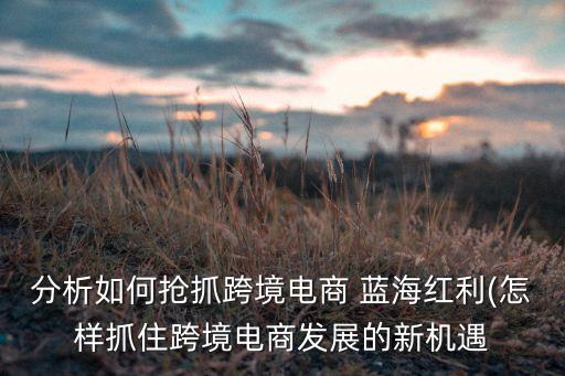 宿遷市藍海貿易有限公司,藍海金星(北京)貿易有限公司
