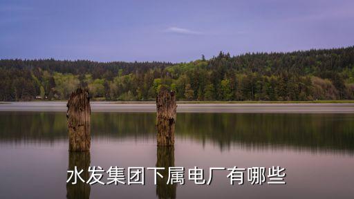 水發(fā)集團(tuán)下屬電廠有哪些