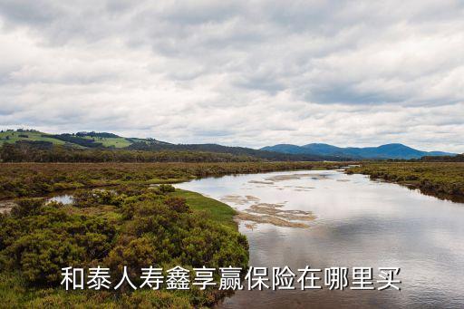 和泰人壽鑫享贏保險(xiǎn)在哪里買(mǎi)