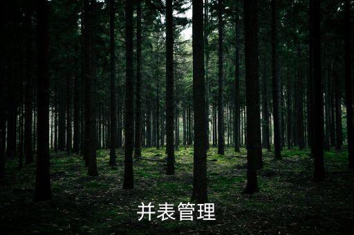 集團并表管理