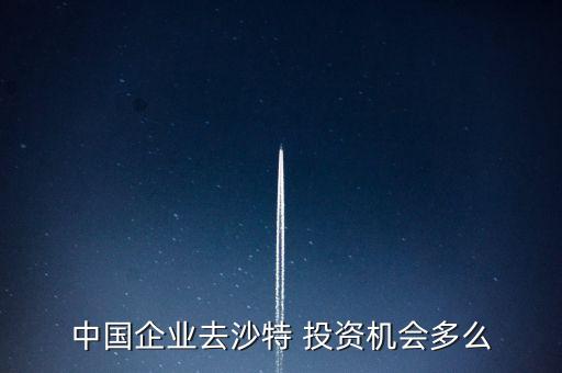 中國企業(yè)去沙特 投資機(jī)會(huì)多么