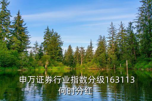  申萬證券行業(yè)指數(shù)分級(jí)163113何時(shí)分紅