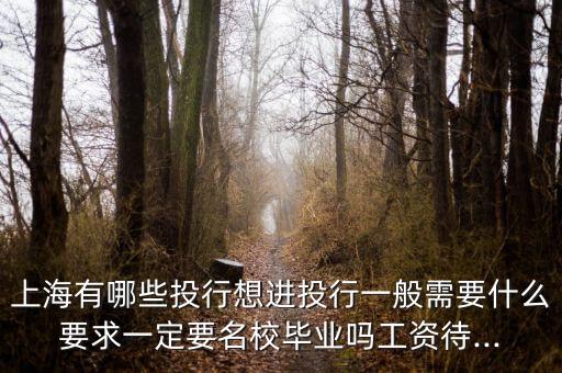 上海有哪些投行想進(jìn)投行一般需要什么要求一定要名校畢業(yè)嗎工資待...