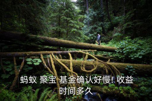  螞蟻 聚寶 基金確認好慢! 收益時間多久