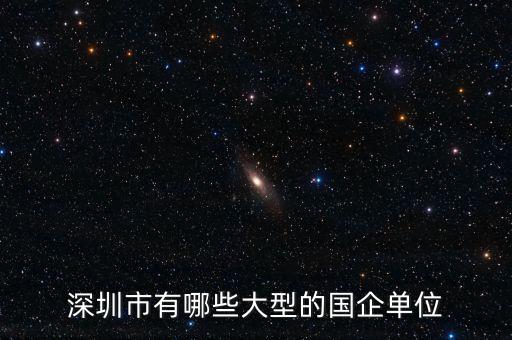 深圳市有哪些大型的國企單位