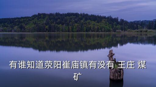 有誰(shuí)知道滎陽(yáng)崔廟鎮(zhèn)有沒有 王莊 煤礦