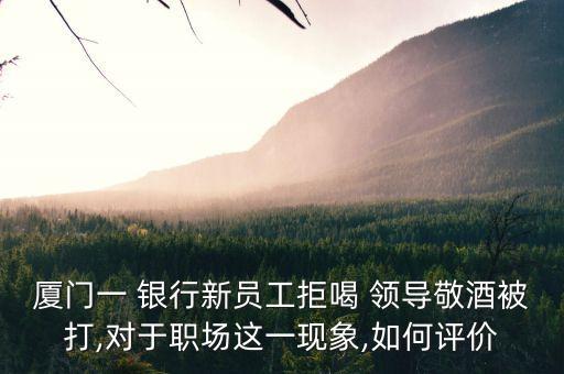 廈門(mén)一 銀行新員工拒喝 領(lǐng)導(dǎo)敬酒被打,對(duì)于職場(chǎng)這一現(xiàn)象,如何評(píng)價(jià)