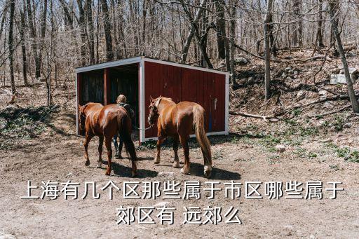 上海有幾個(gè)區(qū)那些屬于市區(qū)哪些屬于郊區(qū)有 遠(yuǎn)郊么