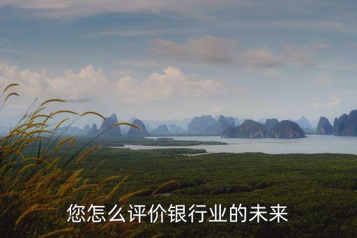 您怎么評(píng)價(jià)銀行業(yè)的未來(lái)
