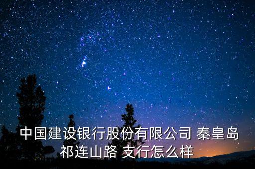  中國建設銀行股份有限公司 秦皇島祁連山路 支行怎么樣