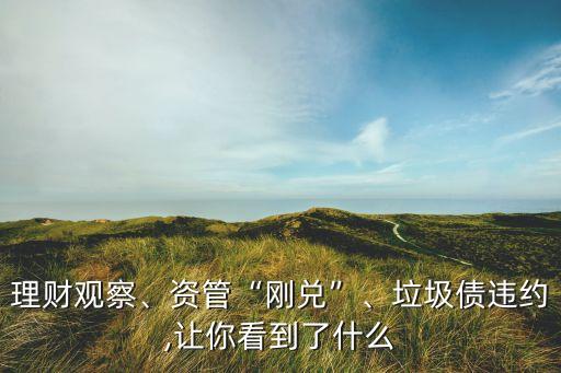 理財觀察、資管“剛兌”、垃圾債違約,讓你看到了什么