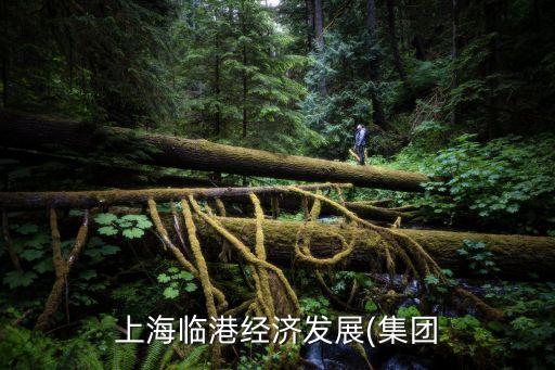 上海臨港經(jīng)濟發(fā)展(集團