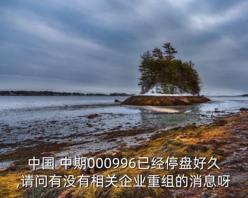 中國(guó) 中期000996已經(jīng)停盤(pán)好久,請(qǐng)問(wèn)有沒(méi)有相關(guān)企業(yè)重組的消息呀