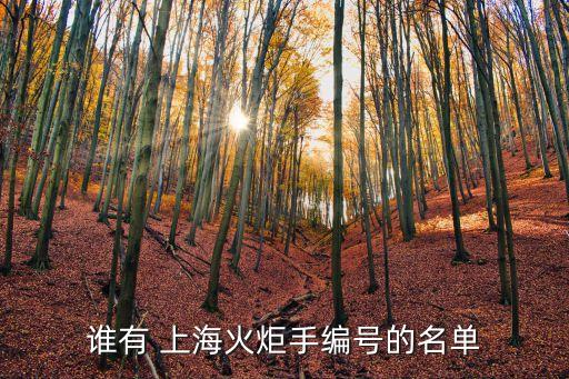 誰有 上?；鹁媸志幪柕拿麊? class=