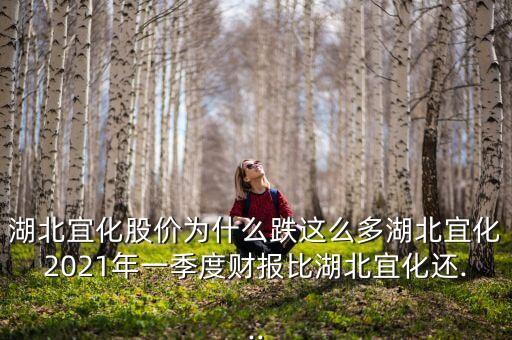 湖北宜化股價為什么跌這么多湖北宜化2021年一季度財報比湖北宜化還...