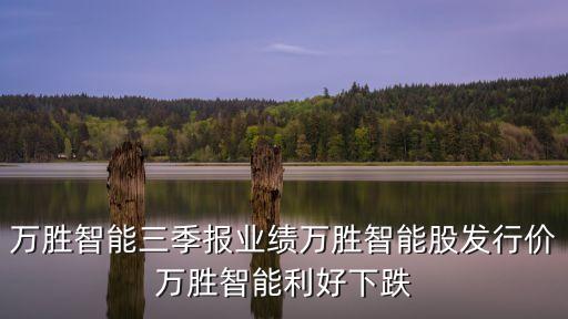 萬勝智能三季報(bào)業(yè)績(jī)?nèi)f勝智能股發(fā)行價(jià)萬勝智能利好下跌