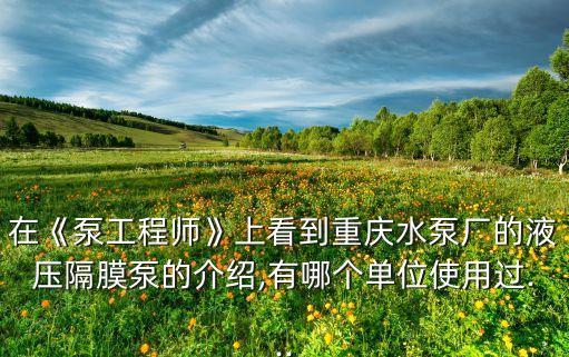 在《泵工程師》上看到重慶水泵廠的液壓隔膜泵的介紹,有哪個(gè)單位使用過(guò)...