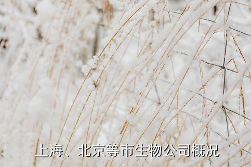  上海、北京等市生物公司概況