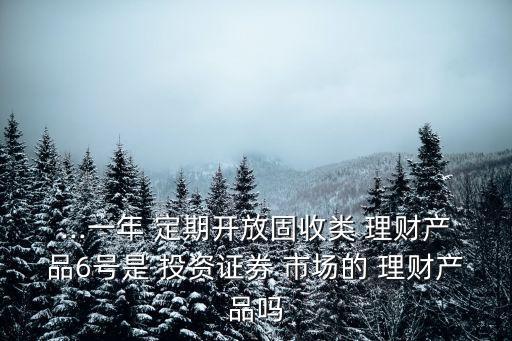 ...一年 定期開(kāi)放固收類(lèi) 理財(cái)產(chǎn)品6號(hào)是 投資證券 市場(chǎng)的 理財(cái)產(chǎn)品嗎