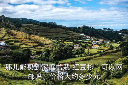 那兒能買到家庭盆栽 紅豆杉、可以網(wǎng)郵嗎、價(jià)格大約多少元