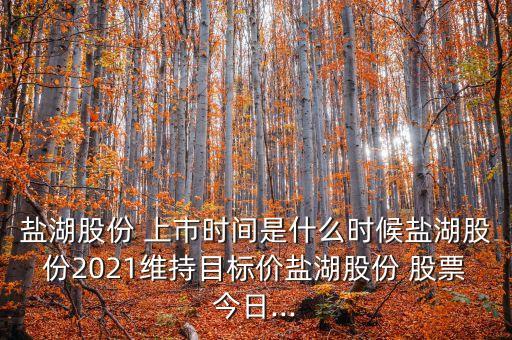鹽湖股份 上市時間是什么時候鹽湖股份2021維持目標(biāo)價鹽湖股份 股票今日...