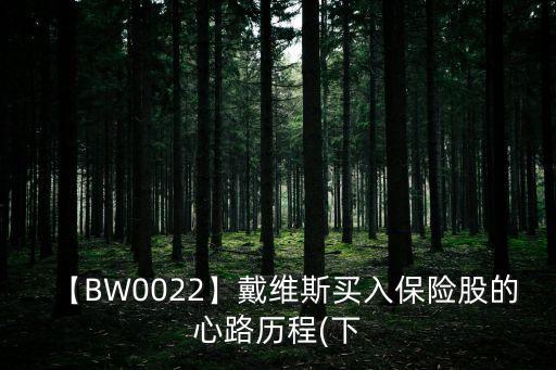 【BW0022】戴維斯買入保險(xiǎn)股的心路歷程(下