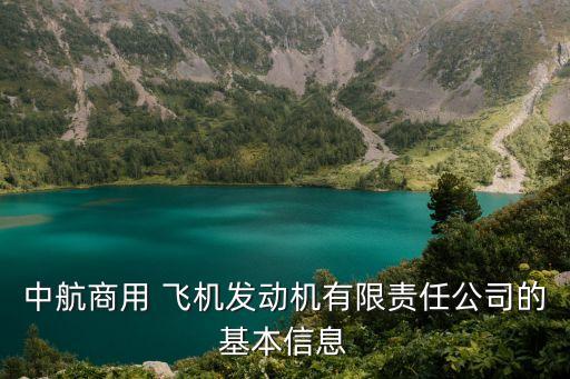 上海大飛機臨港,臨港大飛機產(chǎn)業(yè)園項目