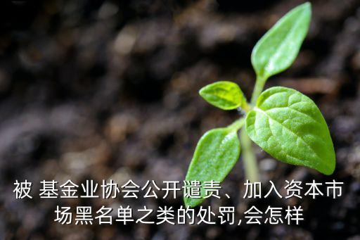 被 基金業(yè)協(xié)會公開譴責(zé)、加入資本市場黑名單之類的處罰,會怎樣