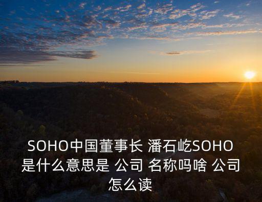 潘石屹公司名稱