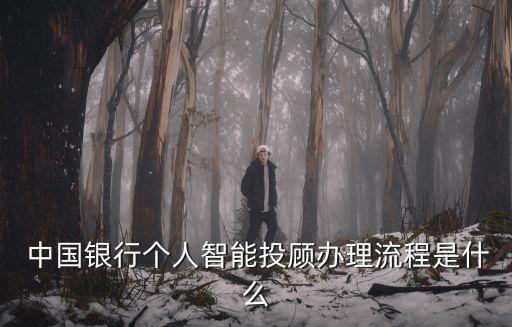  中國銀行個(gè)人智能投顧辦理流程是什么