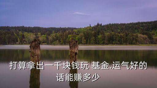 打算拿出一千塊錢(qián)玩 基金.運(yùn)氣好的話(huà)能賺多少