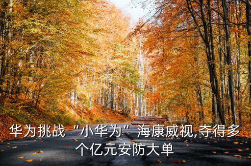 華為挑戰(zhàn)“小華為”?？低?奪得多個億元安防大單