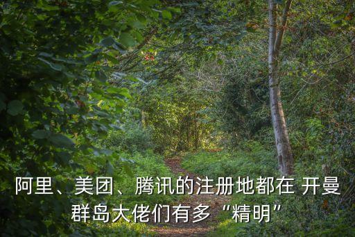 阿里、美團(tuán)、騰訊的注冊(cè)地都在 開曼群島大佬們有多“精明”